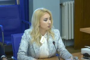 Gorčević: I will inform the EC that some conclusions from temporary criteria...