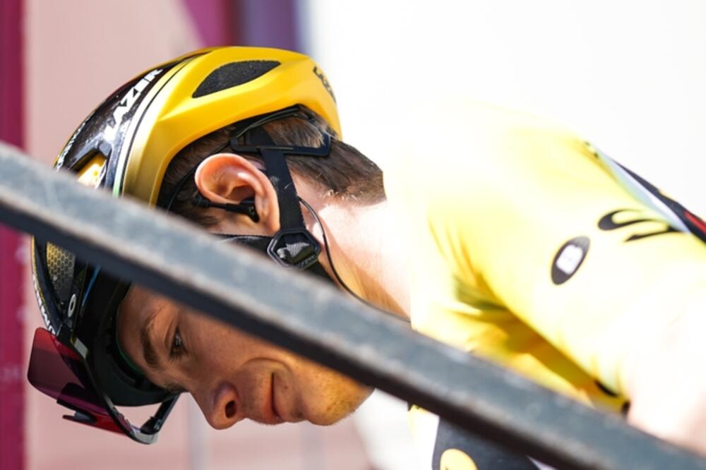 Vingegord, Foto: Shutterstock