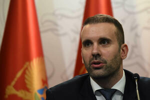 Spajić: The budget guard finally worked