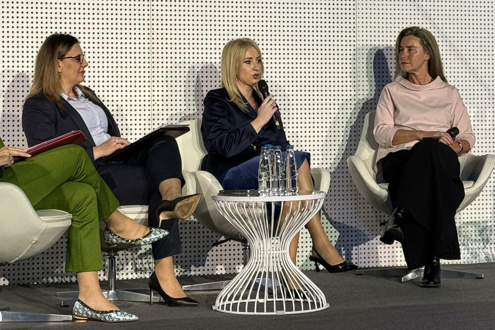 Sa panela, Foto: Ministarstvo evropskih poslova