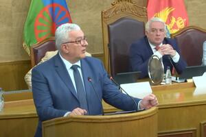 Mandić: The problem that the RE community is not involved in political decision-making,...