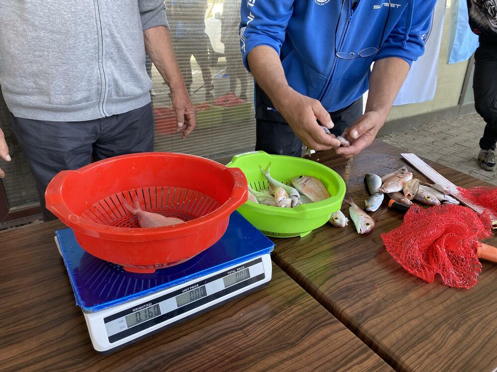 <p>Najveći ulov imao je Goran Boričić iz kluba za sportski ribolov „Igalo“ koji je ulovio tri kila i 180 grama ribe</p>