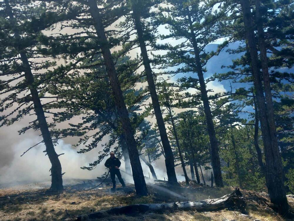 <p>NPCG apeluje na sve relevantne državne organe i službe da im pruže podršku i pomoć, jer je "riječ o požaru koji prijeti da će progutati ogromna prostranstva u parku i van njega"</p>