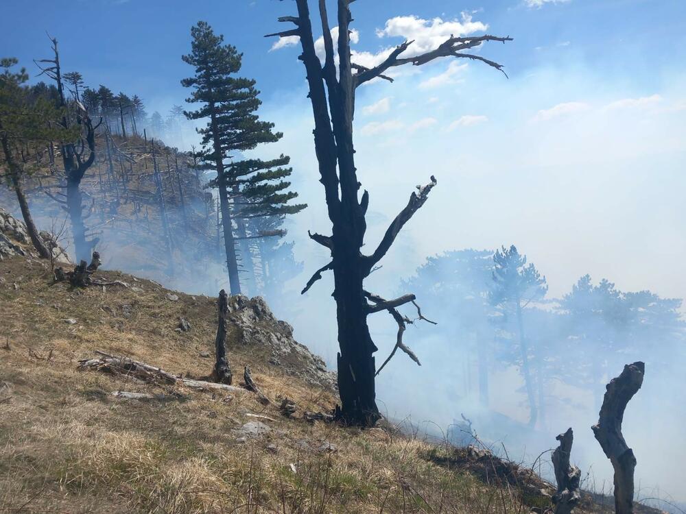 <p>NPCG apeluje na sve relevantne državne organe i službe da im pruže podršku i pomoć, jer je "riječ o požaru koji prijeti da će progutati ogromna prostranstva u parku i van njega"</p>