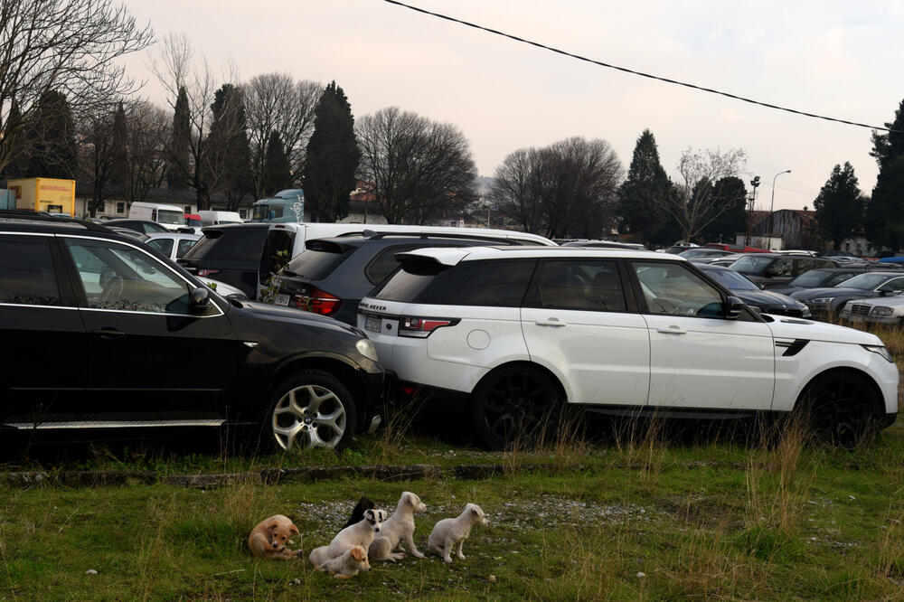 Oduzeta vozila na parkingu Uprave za imovinu, Foto: Boris Pejović
