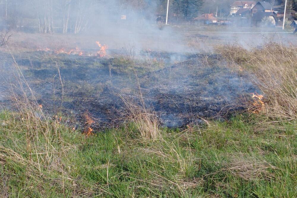 Učestalo paljenje livada, Foto: Dragana Šćepanović