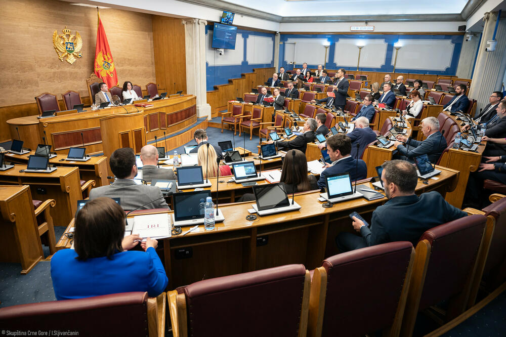 Everyone receives a salary, silent or talking: From the parliament session, Photo: Parliament of Montenegro