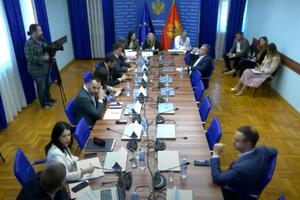 Radunović defended the amendments to the Law on the Constitutional Court: Voting ended...