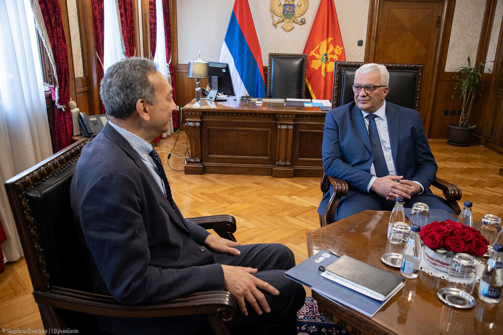 Mandić i Smit, Foto: Skupština Crne Gore