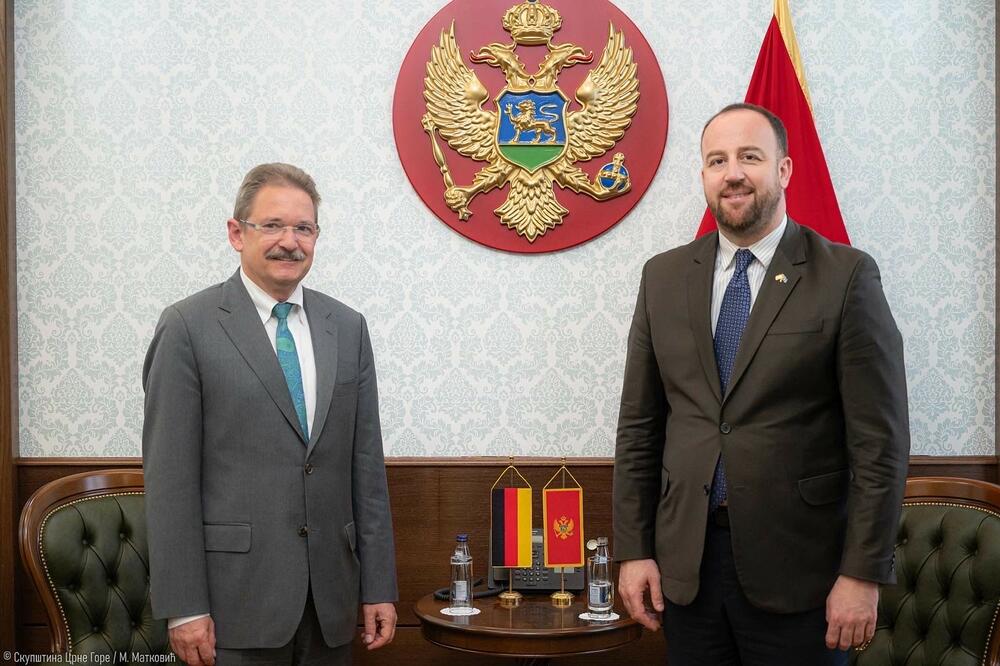 Felten i Nikolić, Foto: DPS