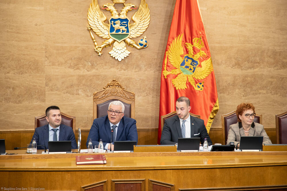 Shortcut changes for filling one position: Mandić, Pejović and Popović, Photo: Igor Šljivančanin/Assembly of Montenegro