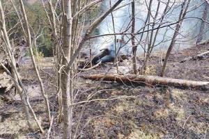 It had been burning for days: The fire in Stup near Mojkovac was extinguished, firefighters...