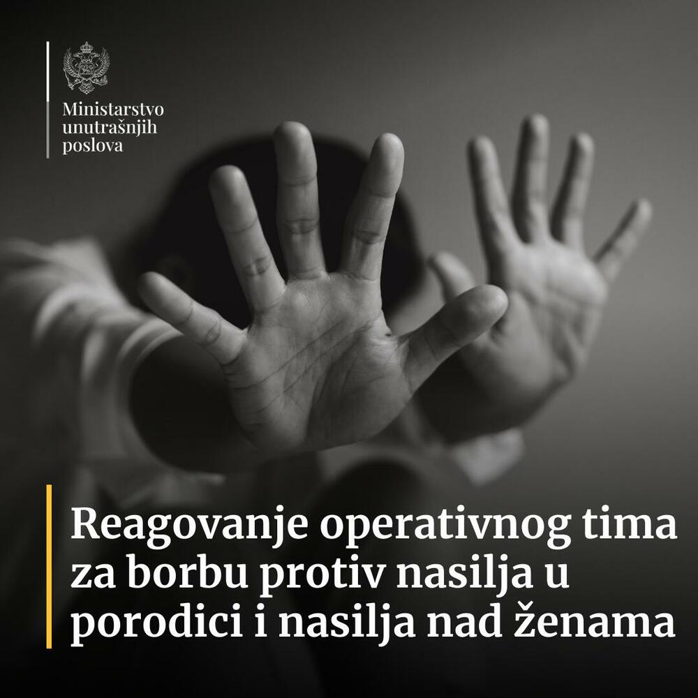 Operativni tim za borbu protiv nasilja u porodici i nasilja nad ženama