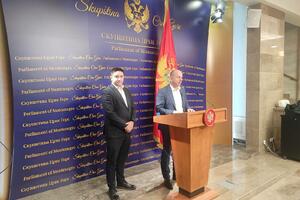 Knežević: DNP and Free Montenegro will perform together at...