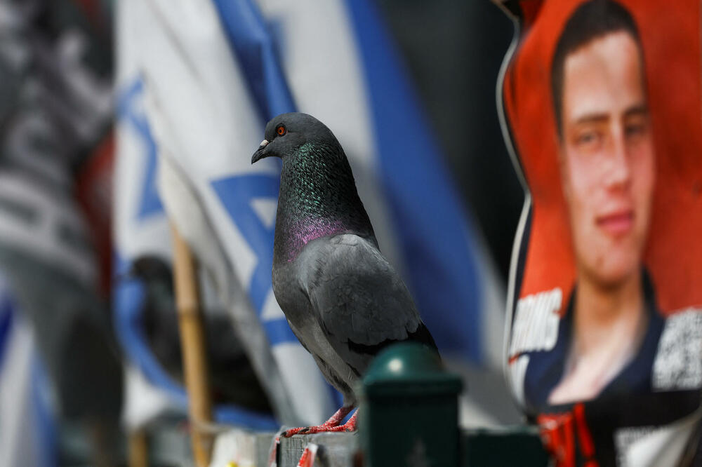 Detalj iz Tel Aviva, grada u Izraelu, Foto: Reuters