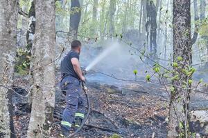 Kolašin firemen localized the fire on Obloja Glava