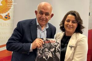 Eksperti iz Grčke će procijeniti stanje na Ikoni Filermosa