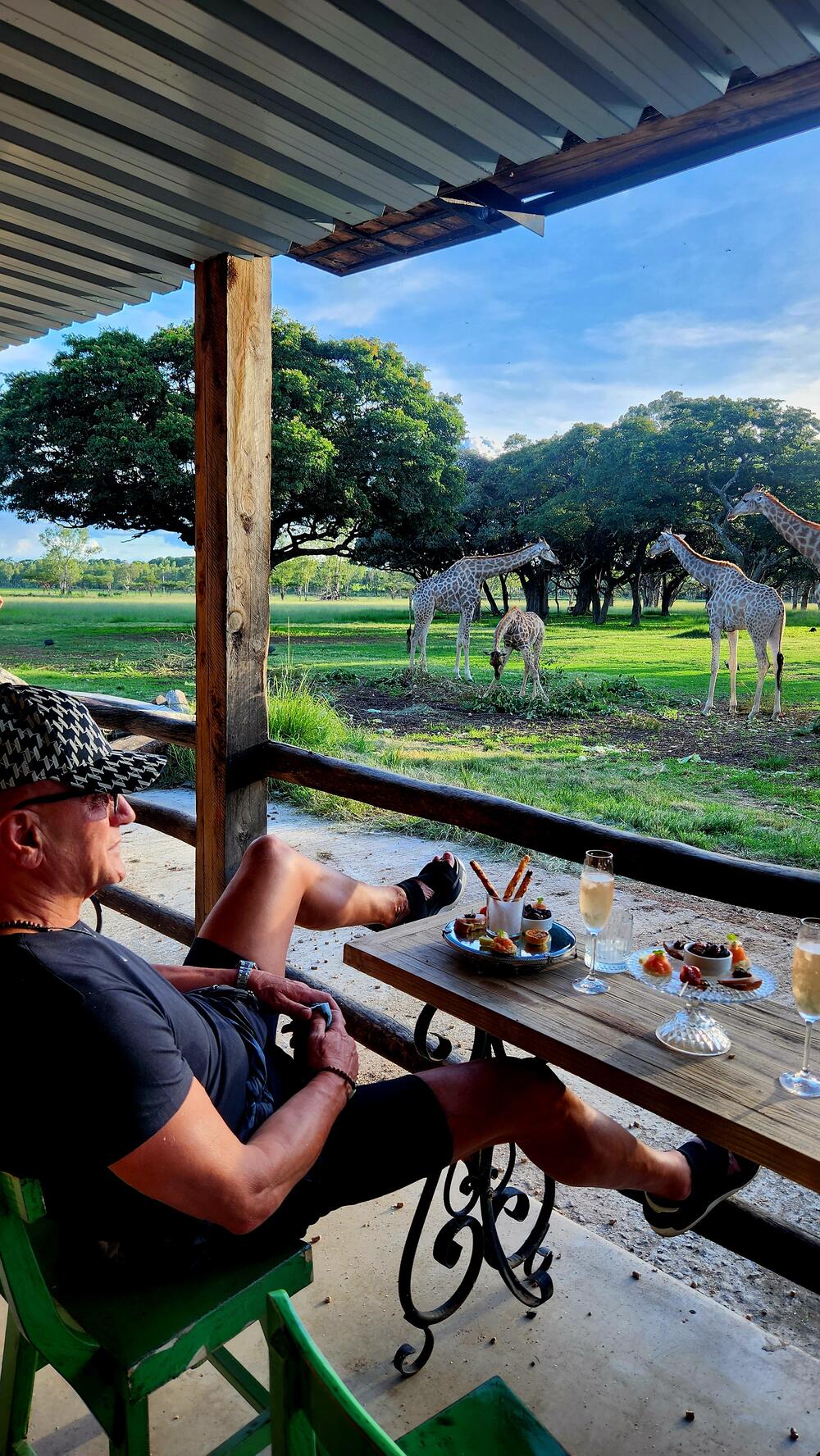 Večera sa žirafama