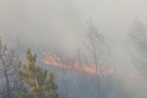 The fire in Gostilovina has been active for the third day, the forest is burning on...