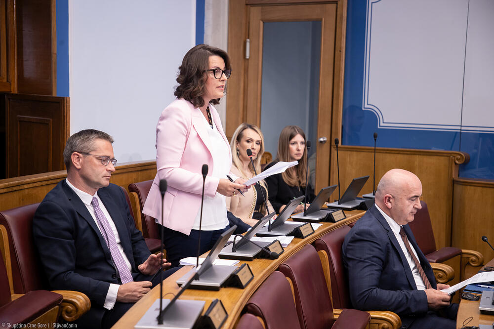 Vujović in parliament, Photo: Ministry of Culture and Media