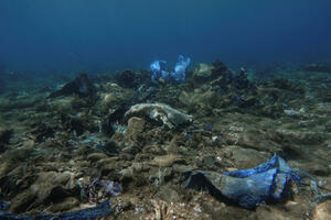 Greece: 780 million euros for the protection of marine biodiversity, said...