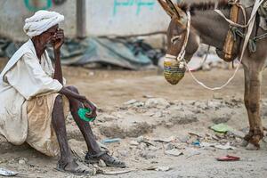 Sudan's forgotten conflict on its way to becoming the world's worst hunger crisis...