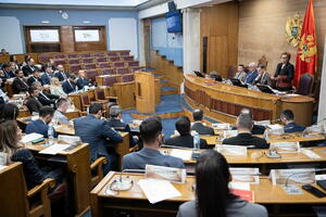 Adopted the amendment: Vice-President of the Assembly from among the minority...