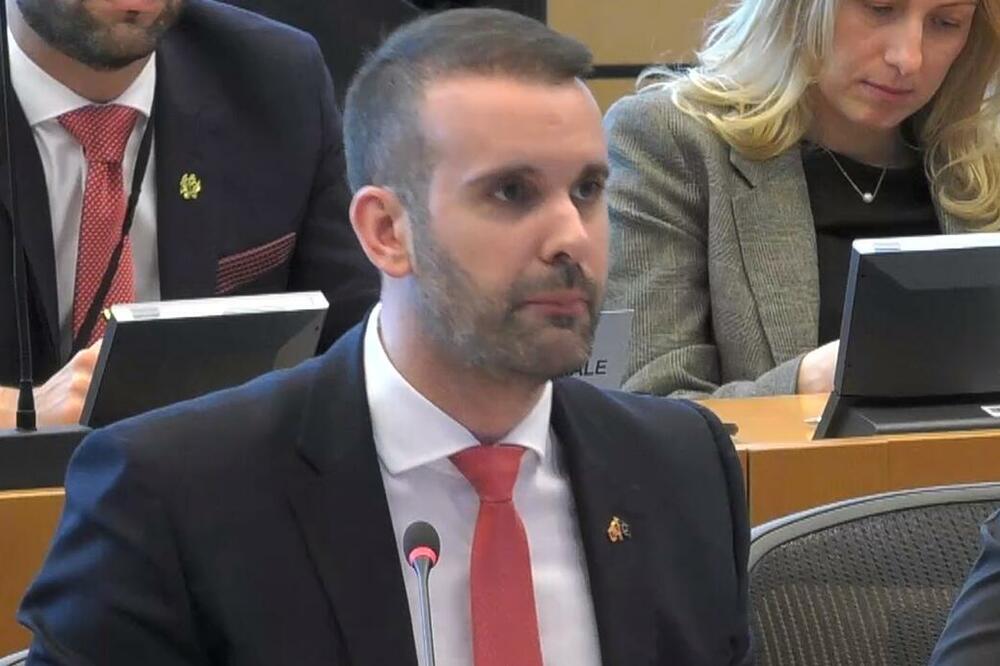 Spajić, Foto: Printscreen/European Parliament