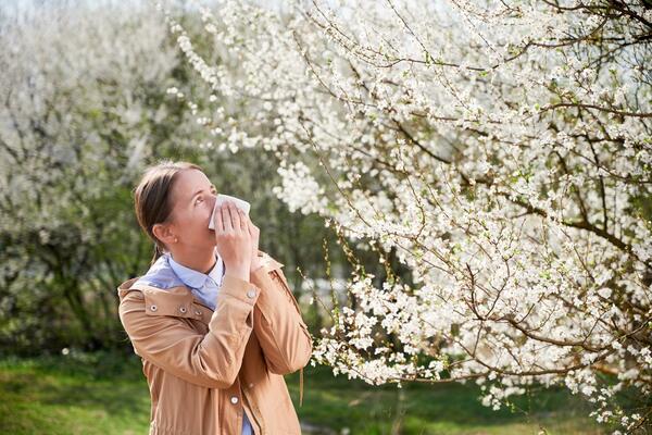 Allergy seasons will be longer: Some home remedies also help