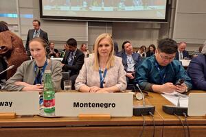 Šuković: Montenegro intensified reforms in the fight against trafficking...