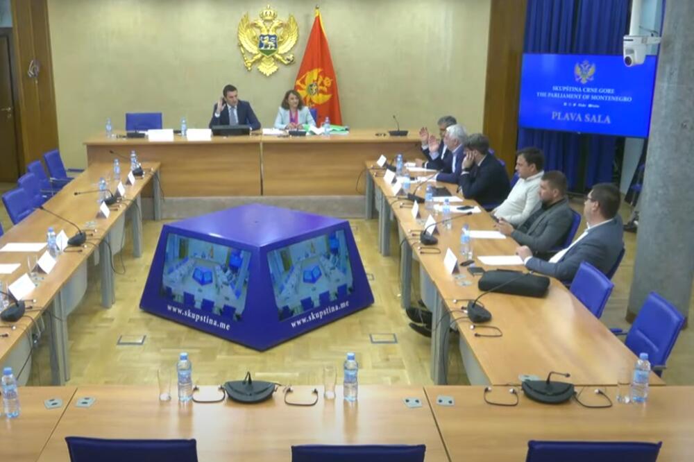 Foto: Skupština/Youtube