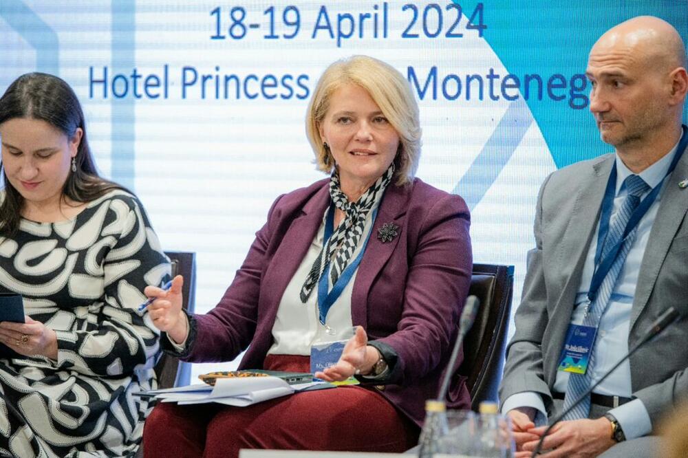 Olivera Injac na panelu Povelje gradonačelnika za energiju i klimu, Foto: Glavni grad Podgorica