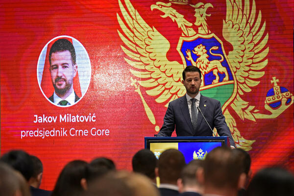 Milatović: Montenegro should be persistent in professionalization...