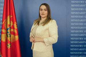 Mijović: By adopting the Schengen action plan, Montenegro is closer...