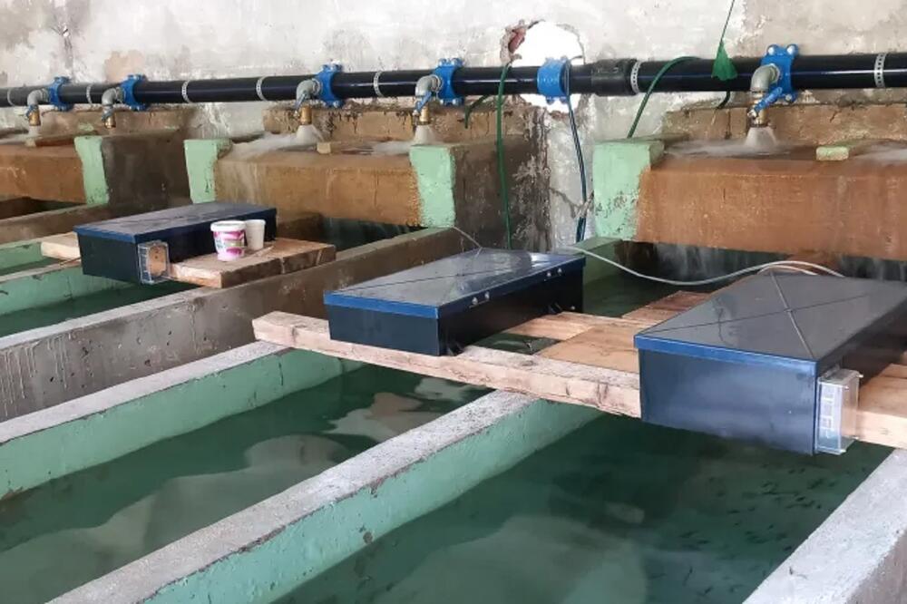 Firma “Odius” radi na proizvodnji zdravije hrane za riblju mlađ (iz ribnjaka), Foto: Odius.me