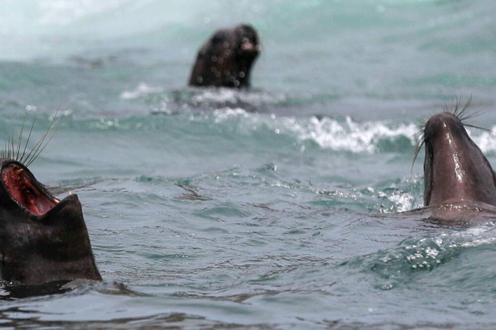Foto: PAOLO AGUILAR/EPA-EFE/REX/Shutterstock