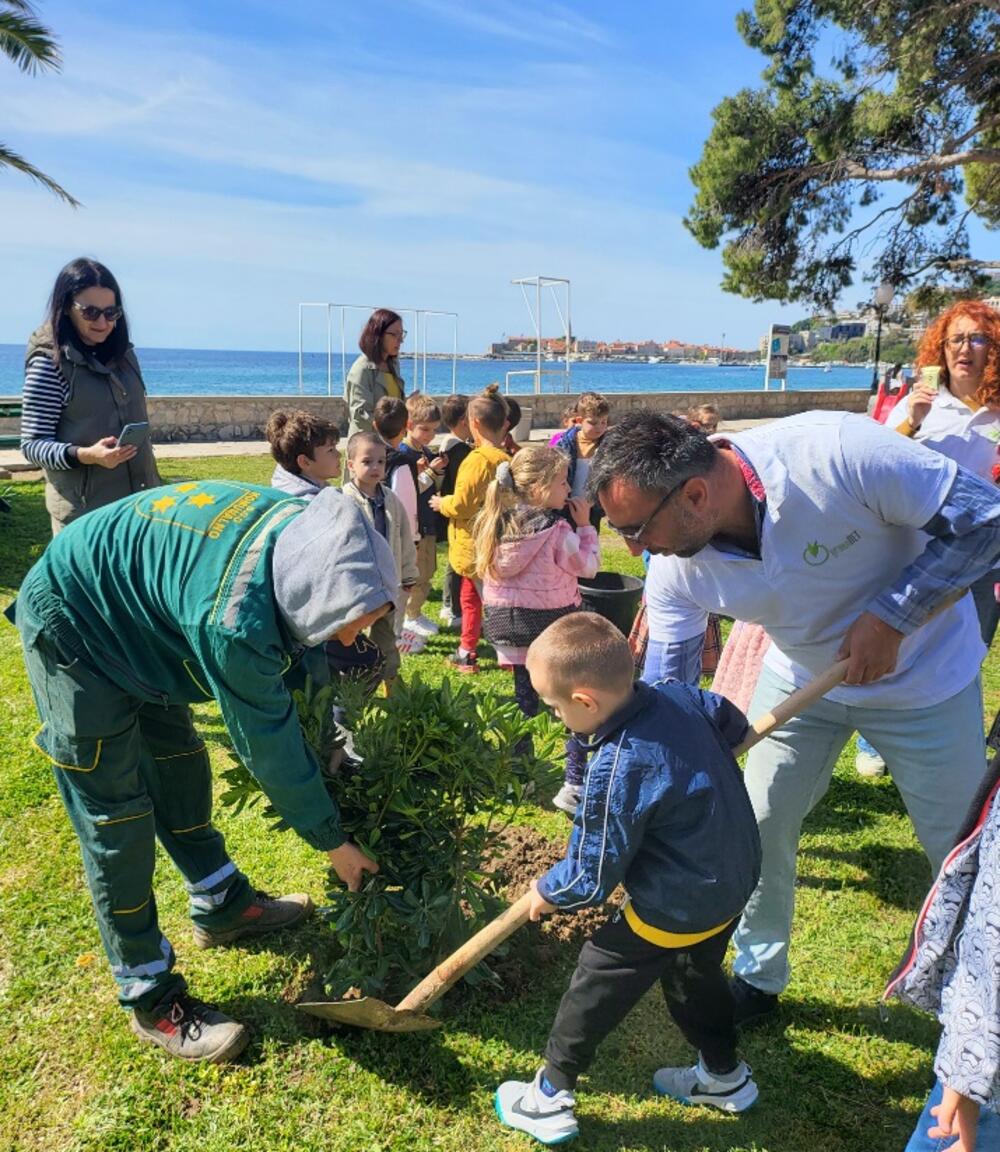 <p>U opštini Budva, NVO "Zelena mreža - Green Net" je u saradnji sa JPU "Ljubica V. Jovanović - Maše" i Komunalnim preduzećem Budva, organizovalo akciju sadnje nekoliko sadnica mediteranskog bilja, likovnu radionicu na temu "Čuvajmo našu obalu i more"</p>