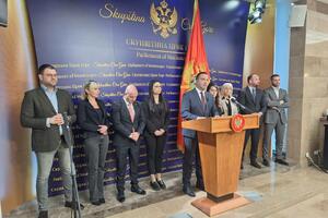 Eraković: Jovanovski in front of the opposition at the head of the commission that will...