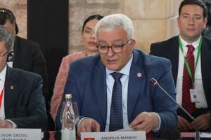 Mandić: Montenegro is in a perfect position to be the next member of the EU