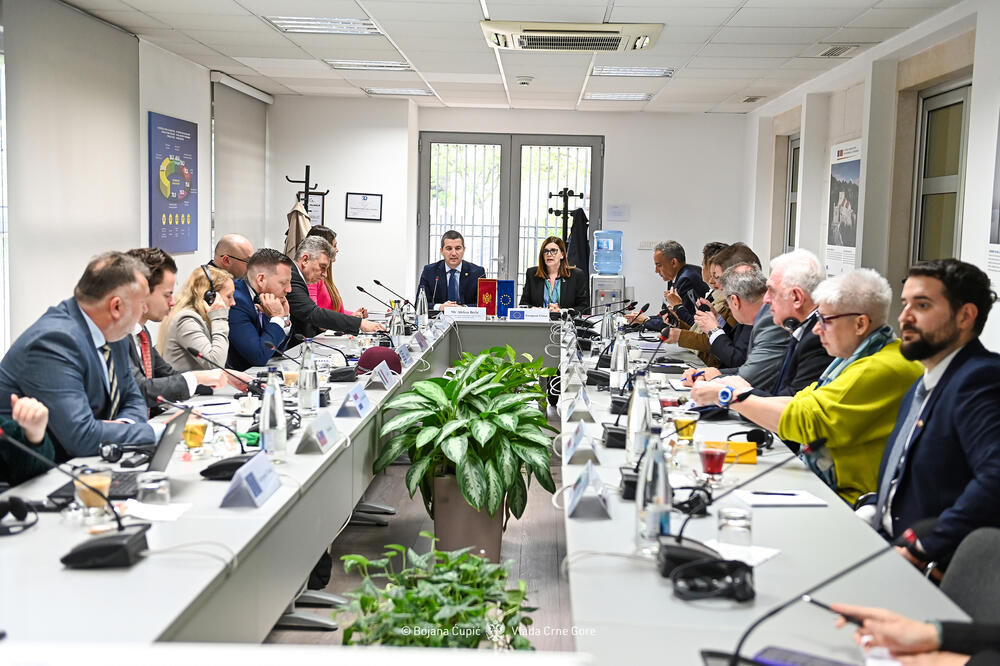 Bečić i Popa sa ambasadorima zemalja članica Evropske unije, Foto: Bojana Ćupić/Vlada Crne Gore