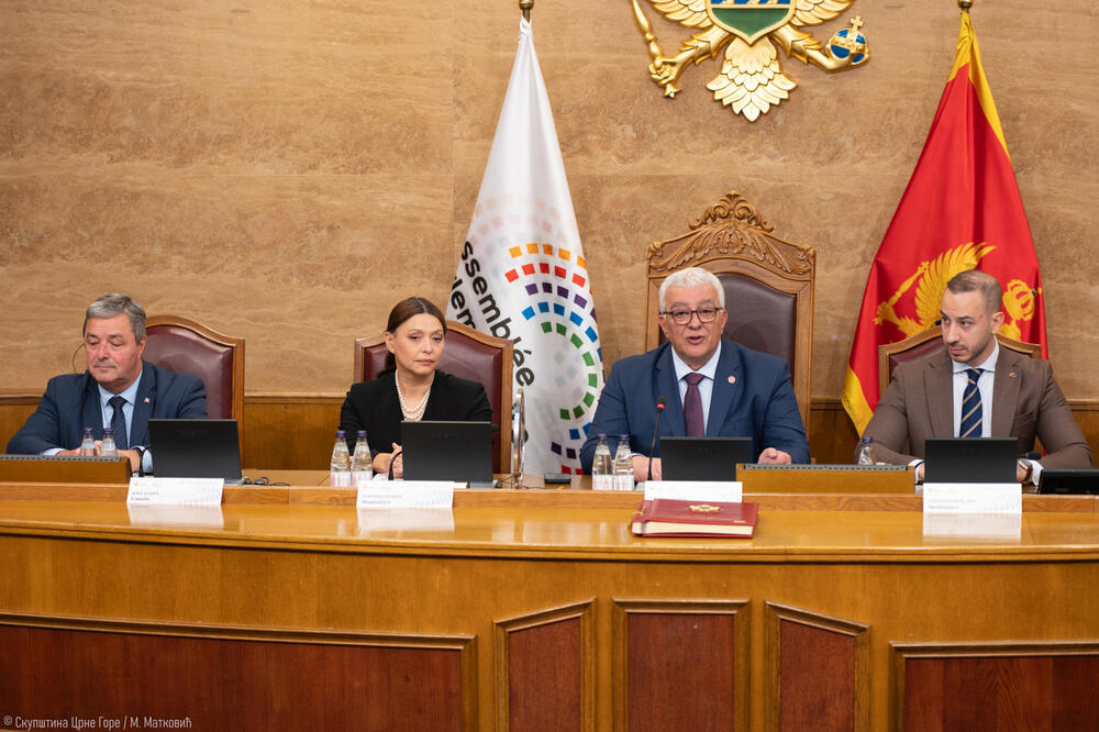 Odbor za parlamentarne poslove PS Frankofonije