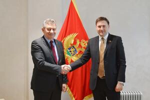 "Improve cooperation with Hungary in the field of healthcare"