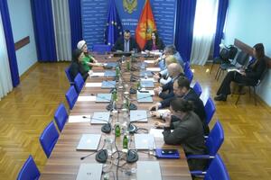 DPS: The Committee for International Relations and Emigrants rejected the initiative for...