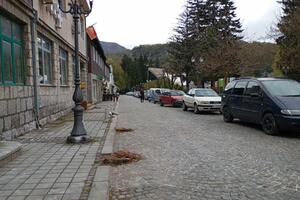 Two linden trees were cut down in the center of Kolašin