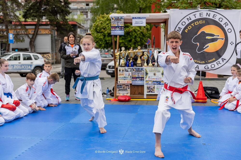 Sports fair organized in Pljevlja