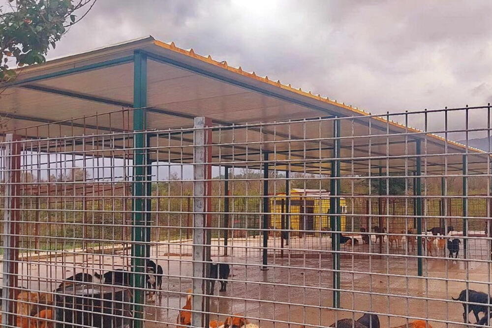 Azil za pse u Kotoru, Foto: Komunalno Kotor