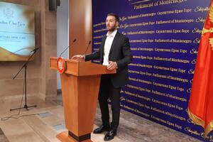 Rakočević: Parlamentarna većina krši Zakon o izboru poslanika i...