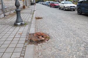 Commission: Linden trees in the center of Kolašin were cut down because they threatened...