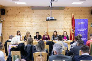 The Network of Cinema Screeners of Montenegro was formed