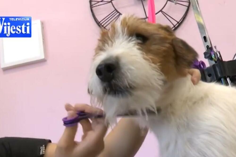 Foto: TV Vijesti